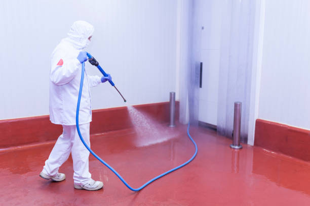 Best Pre-Holiday Cleaning  in Franklin, PA